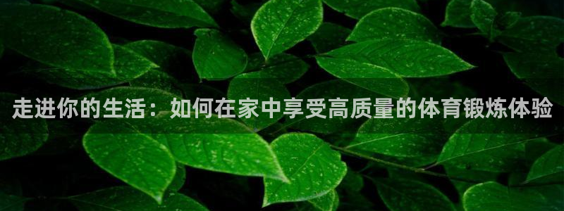 ug环球官网注册：走进你的生活：如何在家中享受高质量的体育锻炼体验