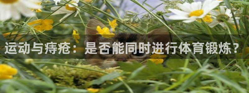 菲律宾ug环球官网：运动与痔疮：是否能同时进行体育锻炼？