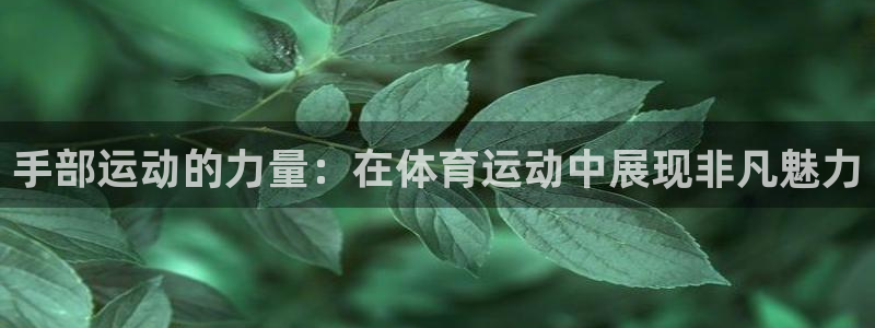 ug环球官网登录入口：手部运动的力量：在体育运动中展现非凡魅力