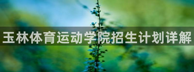 菲律宾ug环球官网：玉林体育运动学院招生计划详解