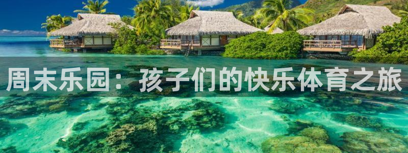 ug环球官网注册：周末乐园：孩子们的快乐体育之旅
