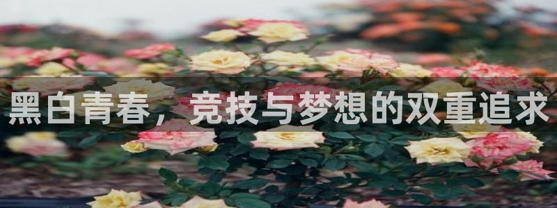 菲律宾ug环球官网：黑白青春，竞技与梦想的双重追求