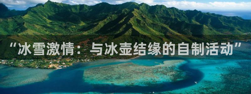 ug环球官网登录入口：“冰雪激情：与冰壶结缘的自制活动”